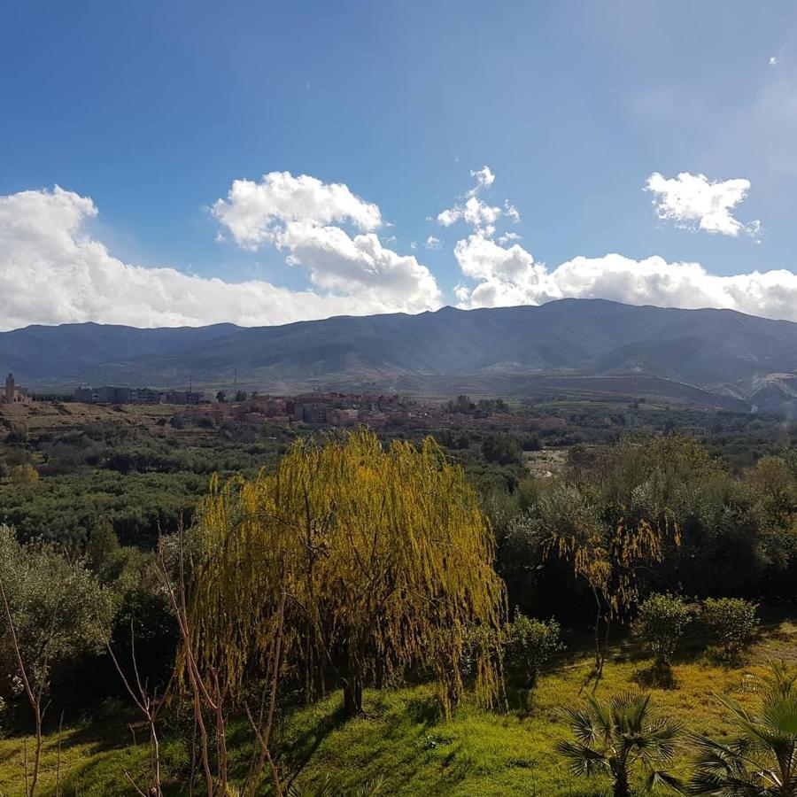 L'oliveraie D'amizmiz Esterno foto