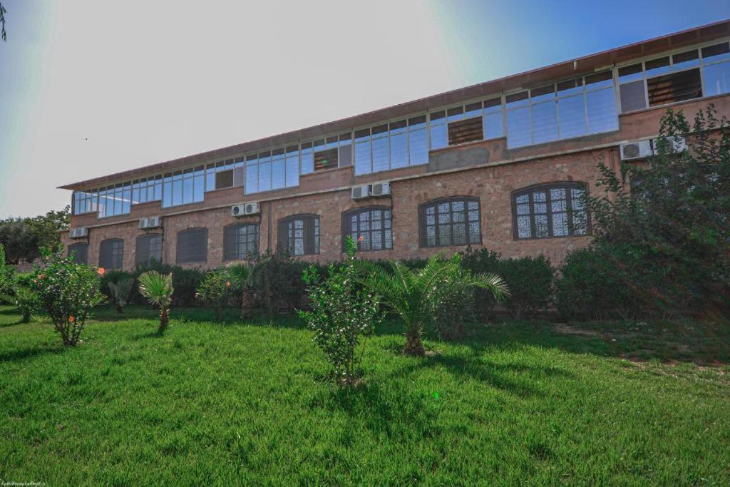 L'oliveraie D'amizmiz Esterno foto