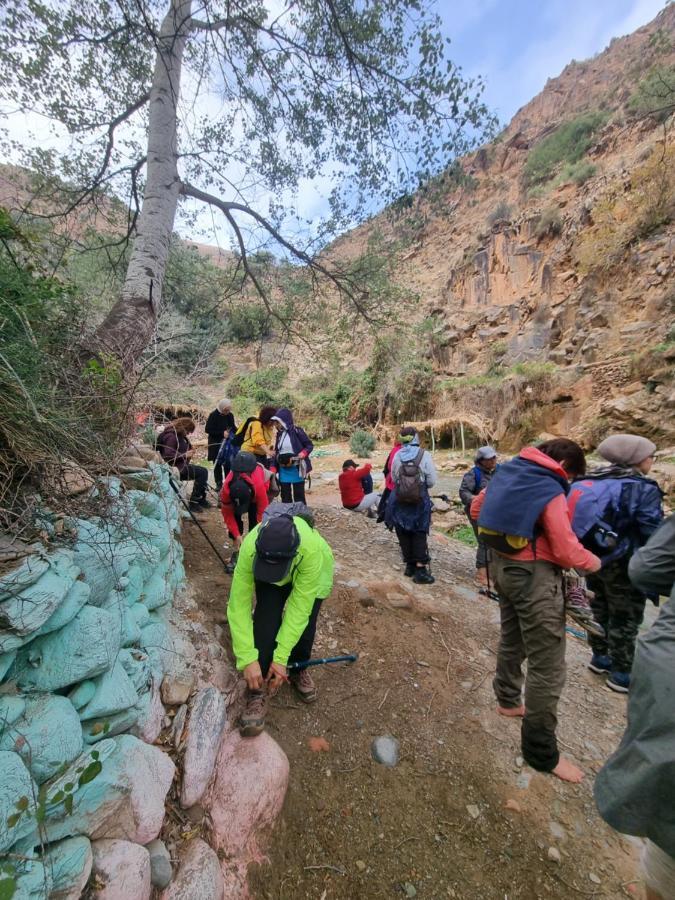 L'oliveraie D'amizmiz Esterno foto