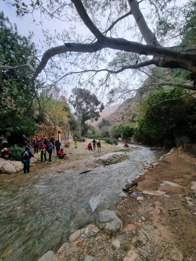 L'oliveraie D'amizmiz Esterno foto