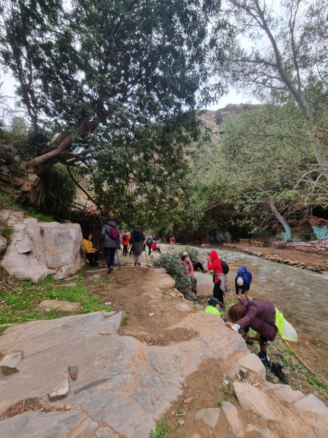 L'oliveraie D'amizmiz Esterno foto