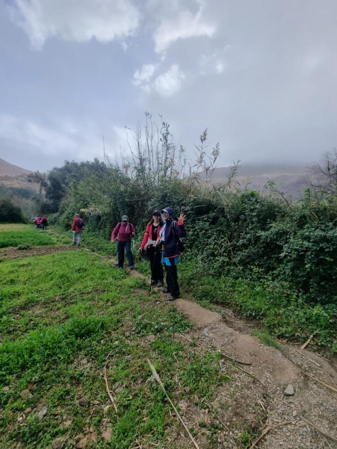 L'oliveraie D'amizmiz Esterno foto