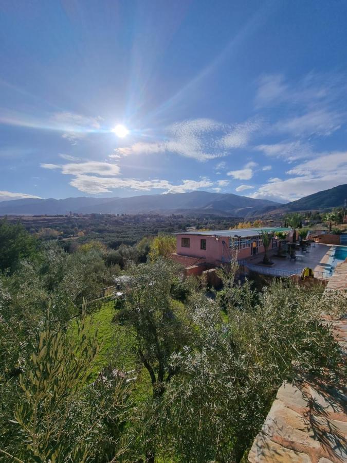 L'oliveraie D'amizmiz Esterno foto