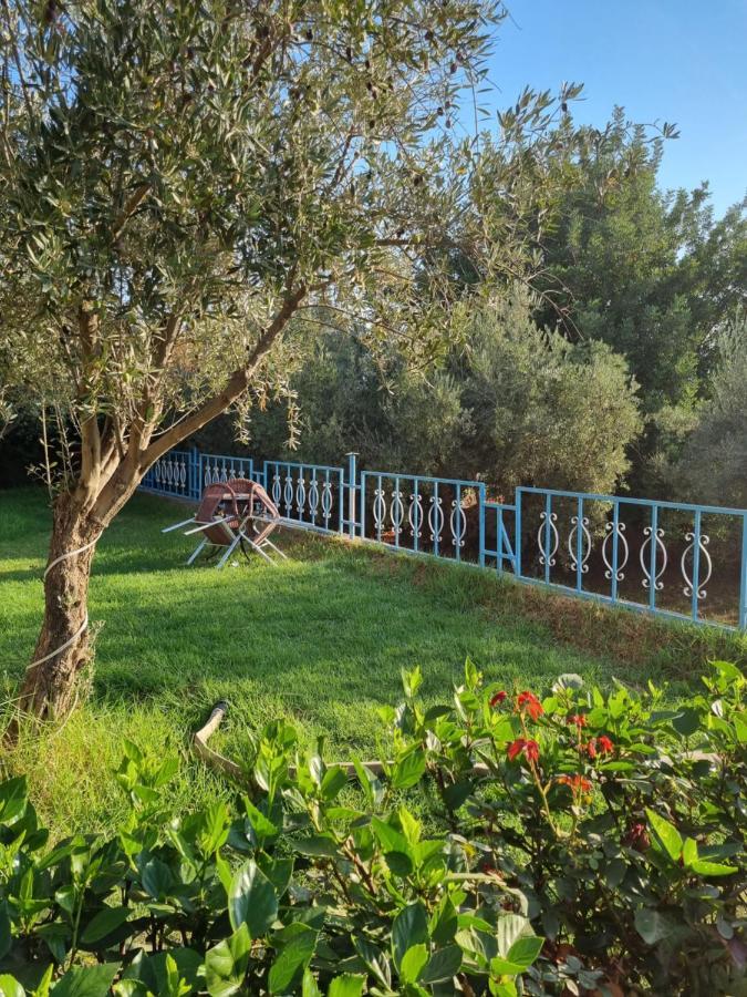 L'oliveraie D'amizmiz Esterno foto
